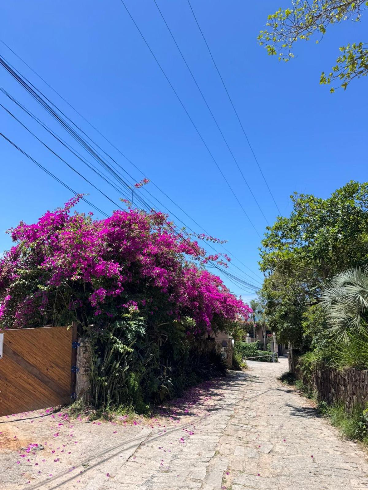 Rosa E Mar - Do Rosa Holiday home *