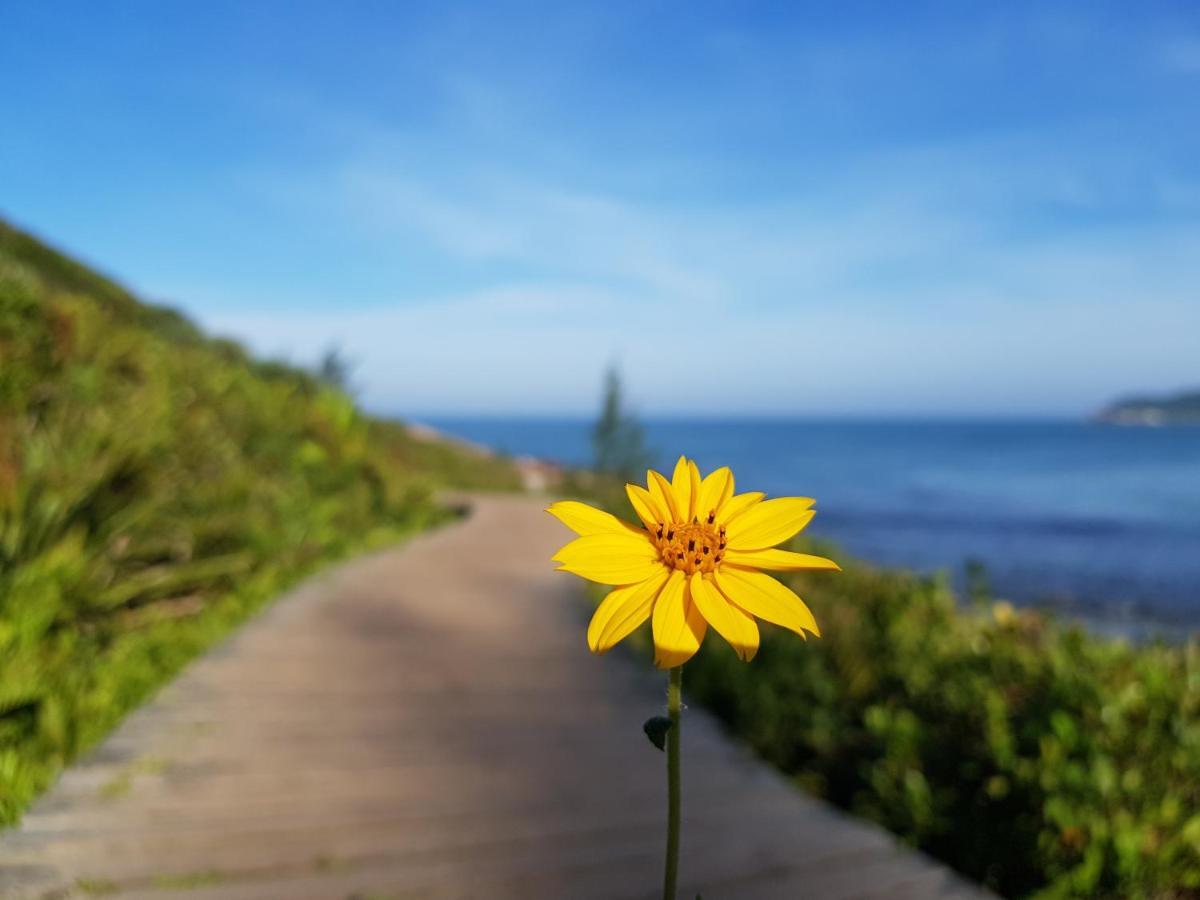 Rosa E Mar - Do Rosa Imbituba (Santa Catarina)